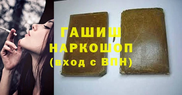 хмурый Арсеньев
