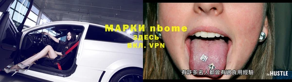 хмурый Арсеньев