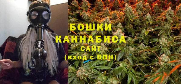 хмурый Арсеньев